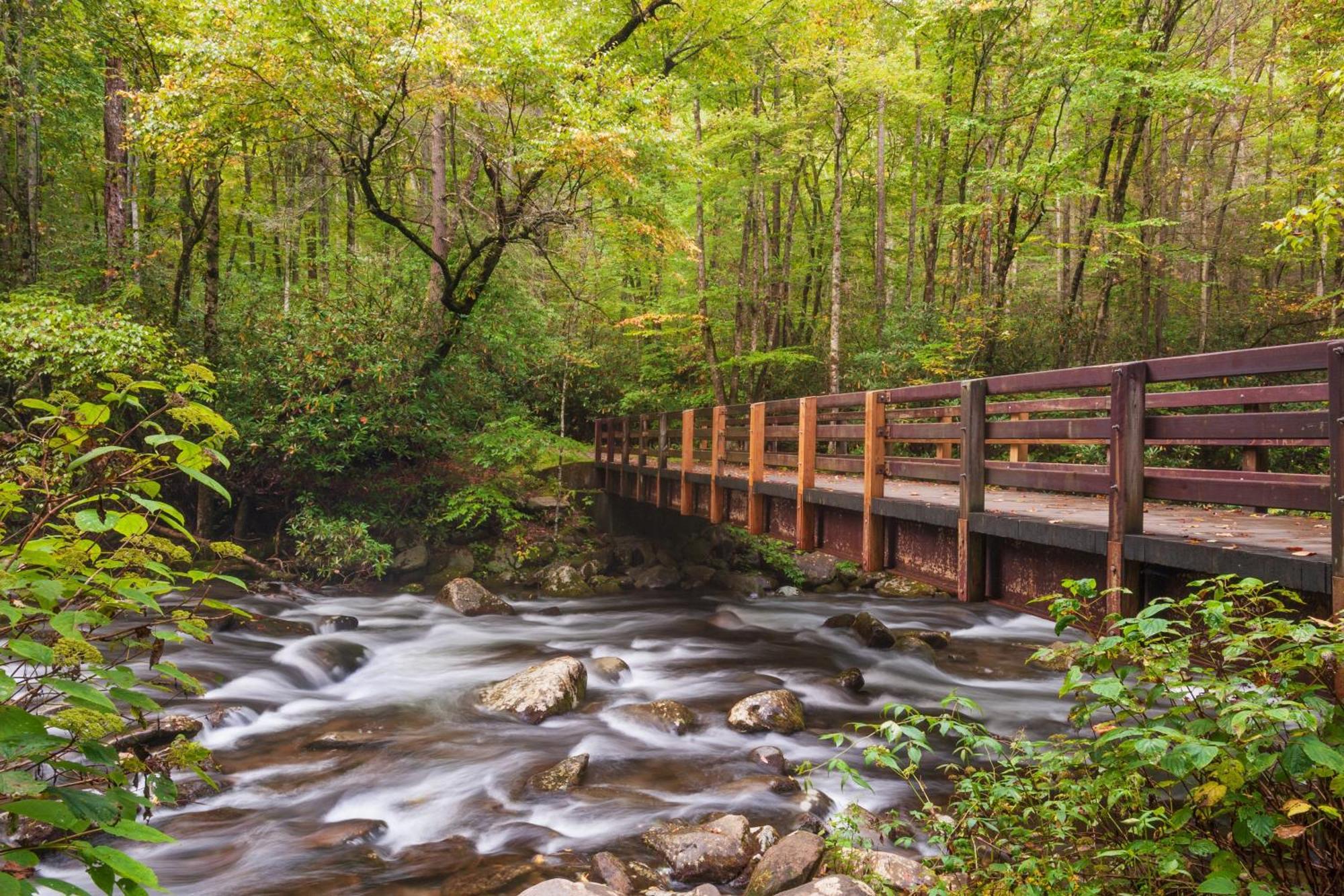 Serenity Heights, Amazing Views, Hot Tub Pool Access, 1089 Free Tickets Each Paid Day, Dollywood Gatlinburg Bagian luar foto